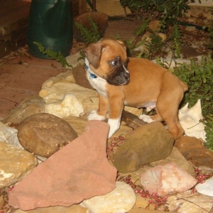 Samson's first photo
