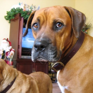 Kolby 4 yrs.