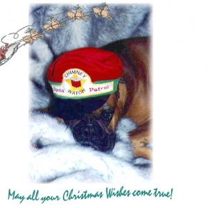 Merry Christmas Everyone!