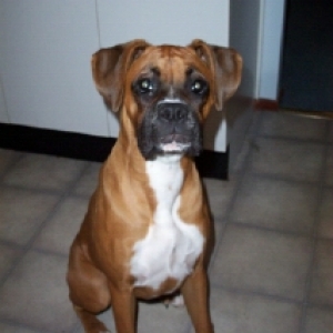 8mths