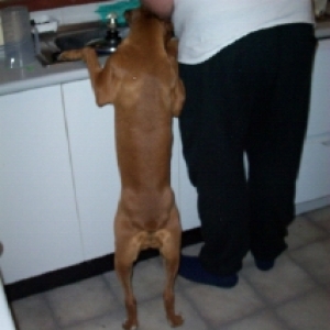helping