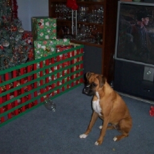 xmas 2003