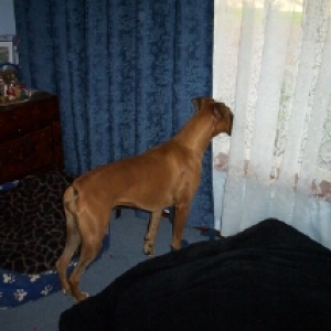 where did daddy go