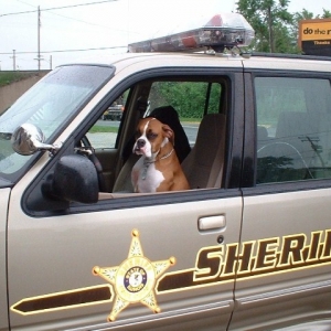 Deputy Boxy!
