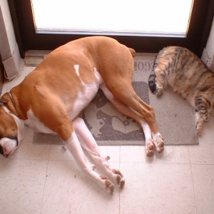 Friends!