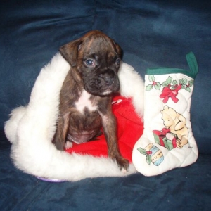 Waiting For Santa
