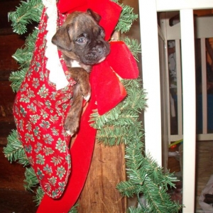 Stocking Stuffer!