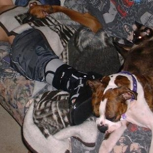 Sleepy pups