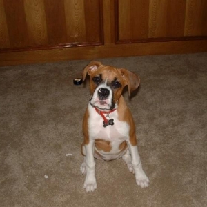 posing for the camera
