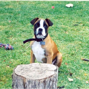 HELP!!! My stick's to big.