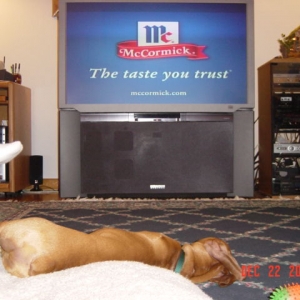 Late Night TV