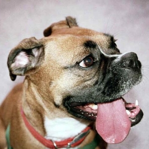 Side Tongue Maneuver