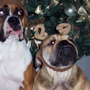 The girls waiting for Santa