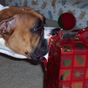 Layla opening her gift