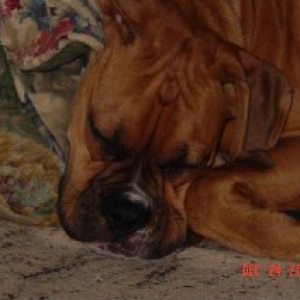 Hard Day