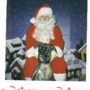Santa