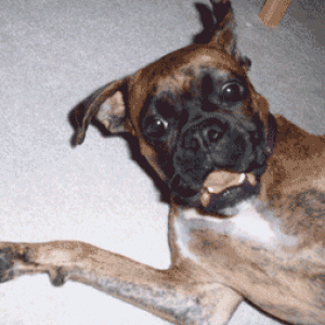 Play with Me!