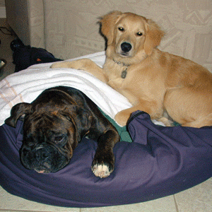 Vegas & Monty