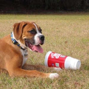 That sure was tasty !!