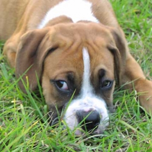 Yes indeed, I'm up to no good !!