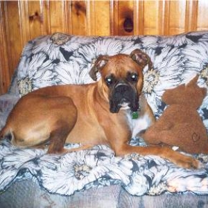 Tank and his best buddie