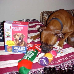 Are these for me???