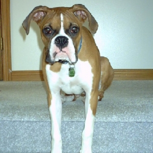 Sitting pretty on the stairs