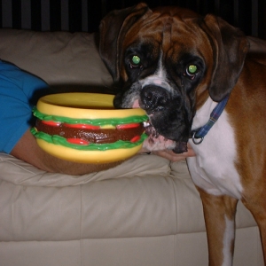 Brando pic 3