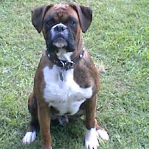 muhammad Ali at 11 mths