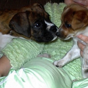 Puppy Love!