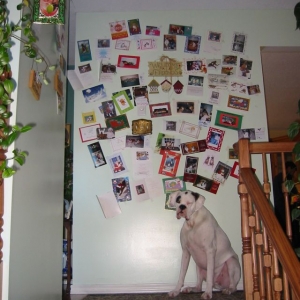Christmas cards