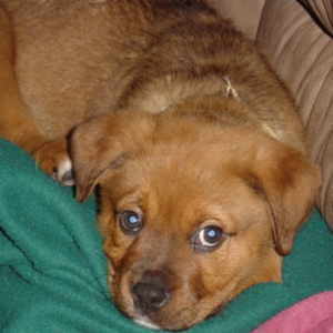 Cooper New Years Day