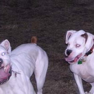 Finnegan and his buddy George