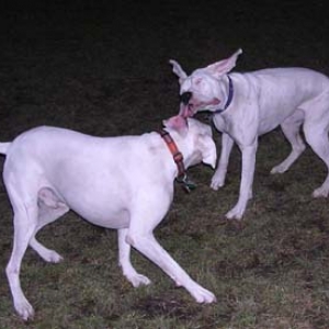 Finn and his buddy George again