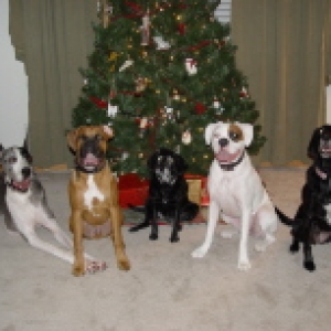 Max_Buster_and_friends