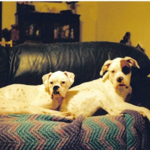 You don't expect us to move do you?