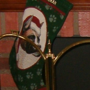 Oscar's Christmas Stocking