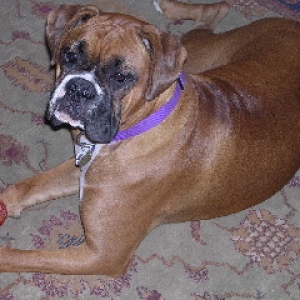 Mia at 13 months