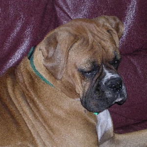 Marcella at 13 months