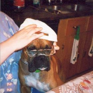 not impressed...
