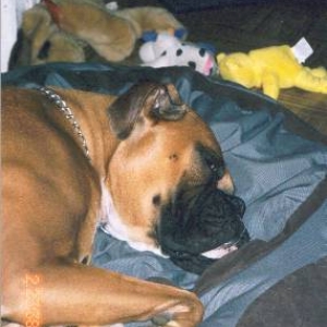 all tuckered out