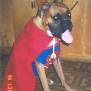 super puppy!