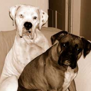 Finnegan & Nessa