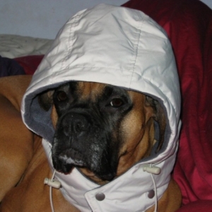 Why are you making me wear this?