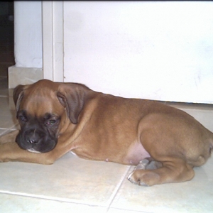 nacho's  first picture at home