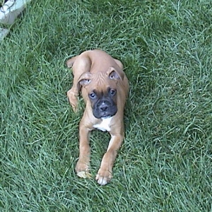 1st day at home