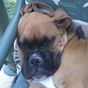 out cold