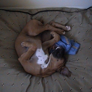 out cold part 2