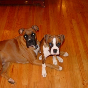 Leonard and Layla
