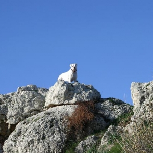 At the top of the hill
